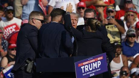 FILE PHOTO: Donald Trump surrounded by Secret Service security detail after being shot in Butler, Pennsylvania, July 13, 2024.