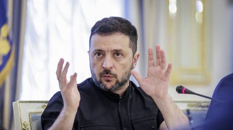 FILE PHOTO: Ukraine's Vladimir Zelensky.