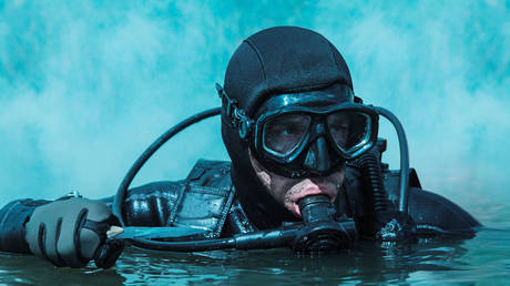 Navy SEAL frogman - stock photo © Getty Images