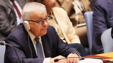 FILE PHOTO: Russia's Deputy Foreign Minister Sergey Vershinin.