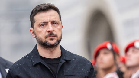 FILE PHOTO: Vladimir Zelensky.