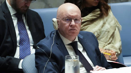 FILE PHOTO: Russian ambassador to the United Nations Vassily Nebenzia.