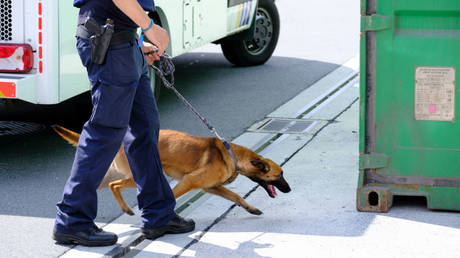 FILE PHOTO: A sniffer dog checks a container for drugs in the Port of Antwerp, Belgium.