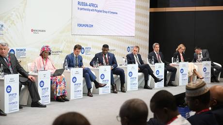 A panel discussion "Business dialogue Russia-Africa" at the 28th St. Petersburg International Economic Forum (SPIEF)