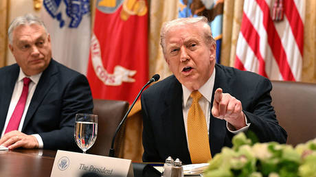 US President Donald Trump meets with Prime Minister of Hungary Viktor Orban in the White House on November 7, 2025 © Roberto Schmidt/Getty Images