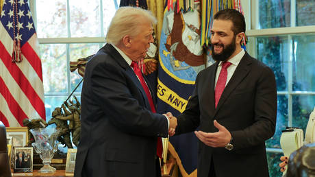 US President Donald Trump, left, shakes hands with Syria's President Ahmad al-Sharaa at the White House in Washington, Nov. 10, 2025