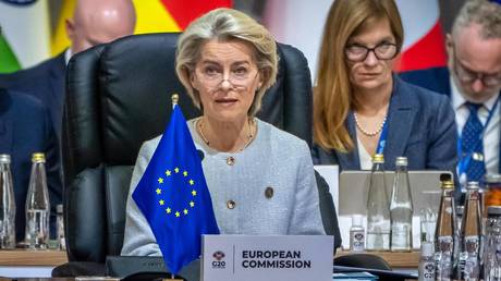 FILE PHOTO: the EU Commission head, Ursula von der Leyen.