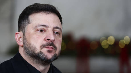 FILE PHOTO. Vladimir Zelensky has strongly criticized India and the UAE